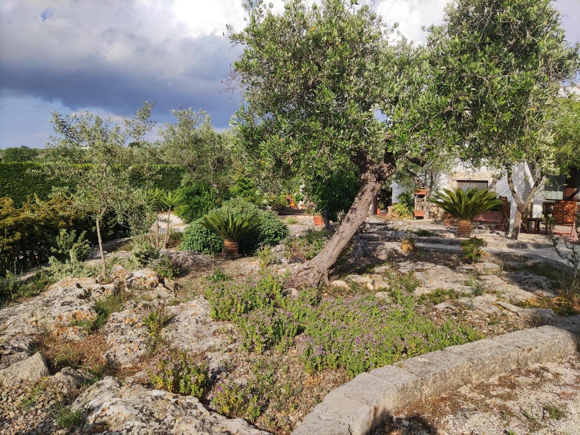 Villa Giulia B&B Castellana Grotte Buitenkant foto
